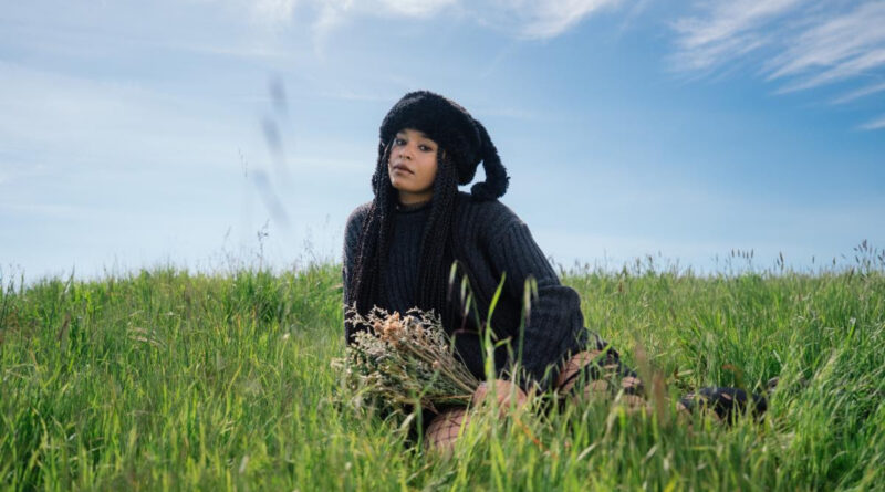 King Isis Sitting in a grass field